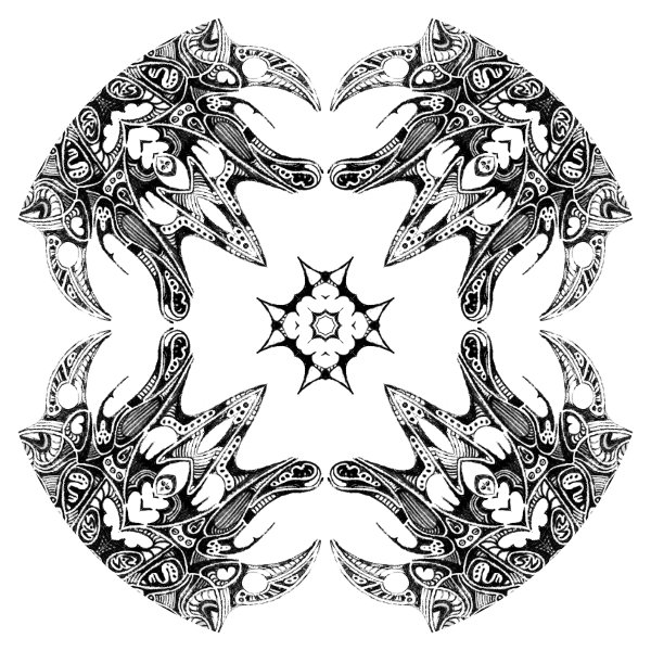 White / Black