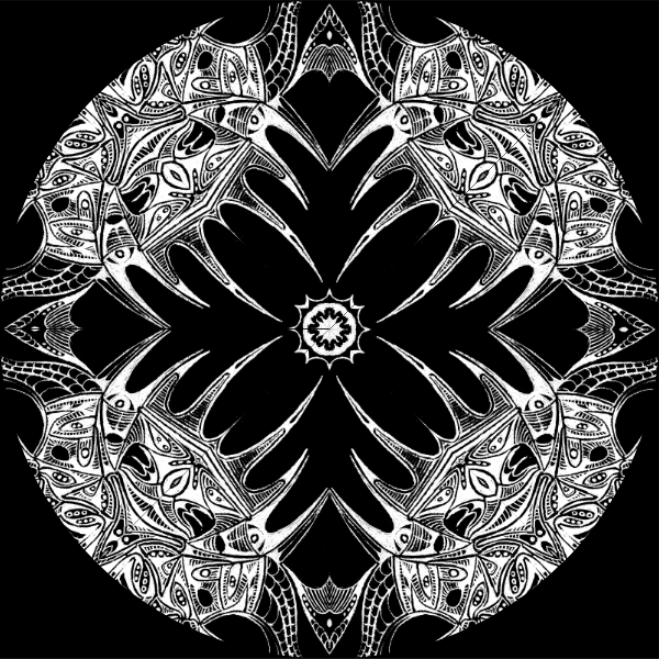Black / White